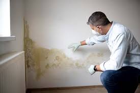 Best Mold Removal for HVAC Installations  in Pensacola, FL